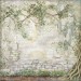 Набор бумаги односторонней для скрапбукинга Stamperia SBBXLB32 "HERBARIUM SILVAE"